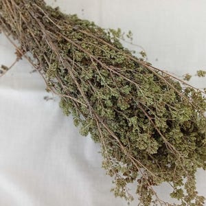 Greek Oregano – Dried Bunch – 100% Natural – 50g