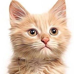 Turn Photo into Animal Oil Panting