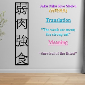 Kanji Metal Wall Art  Kanji Wall Decor Japanese Idiom Art Kanji Wall Writing