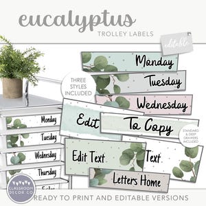 EUCALYPTUS 教師用トロリーラベル、10 引き出しローリングカートラベルバンドル、モダンな植物教室ディスプレイ装飾、ボヘミアン植物装飾