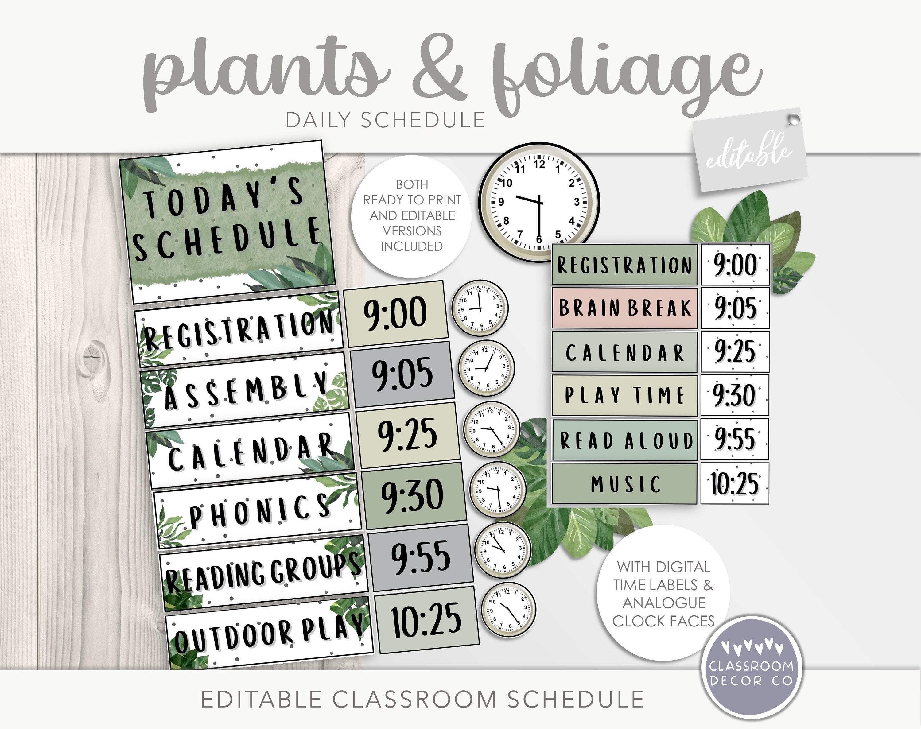 PLANTS & FOLIAGE Classroom Daily Schedule, Classroom Timetable Display Organizer, Modern Plants Boho Classroom Decor, Modern Greenery Decor