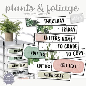 Etykiety na wózek nauczycielski PLANTS & LIŚCIE, 10-szufladowy zestaw etykiet na wózek, nowoczesne rośliny do dekoracji sali lekcyjnej, dekoracje roślin boho