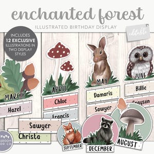 Esposizione di compleanno ENCHANTED FOREST, esposizione di aula per feste, decorazioni per aule moderne con piante boho, decorazioni per aule moderne con vegetazione