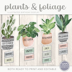 Exibição de aniversário de plantas e folhagem, exibição de sala de aula de celebração, decoração de sala de aula de plantas boho, decoração moderna de sala de aula de vegetação