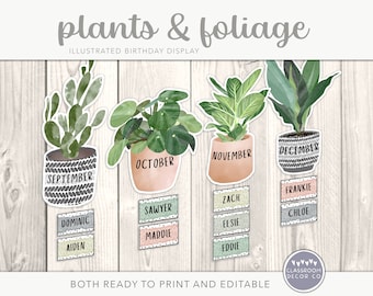 PLANTS & FOLIAGE Birthday Display, Celebration Classroom Display, Boho Plants Classroom Decor, Modern Greenery Classroom Decor