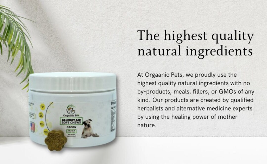 Dog Allergy Supplement Natural Dog Treats Allergy Relief for Etsy