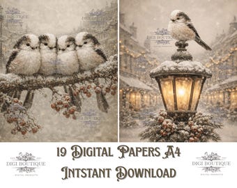 Winter Bird Digital Paper Pack – Snowy Town PNG, A4 (Instant Download)
