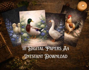 Vintage Chicken Duck Illustration Cottagecore Farmhouse DIY Set 18 Graphics for Prints (Digital Download)