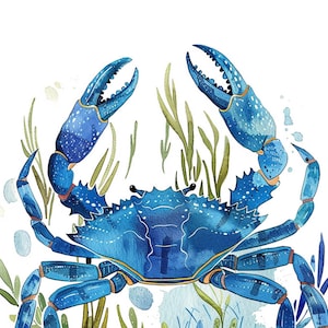 Chesapeake Bay Crab, Blue Crab, Art Print, Poster, Wall Art - Etsy