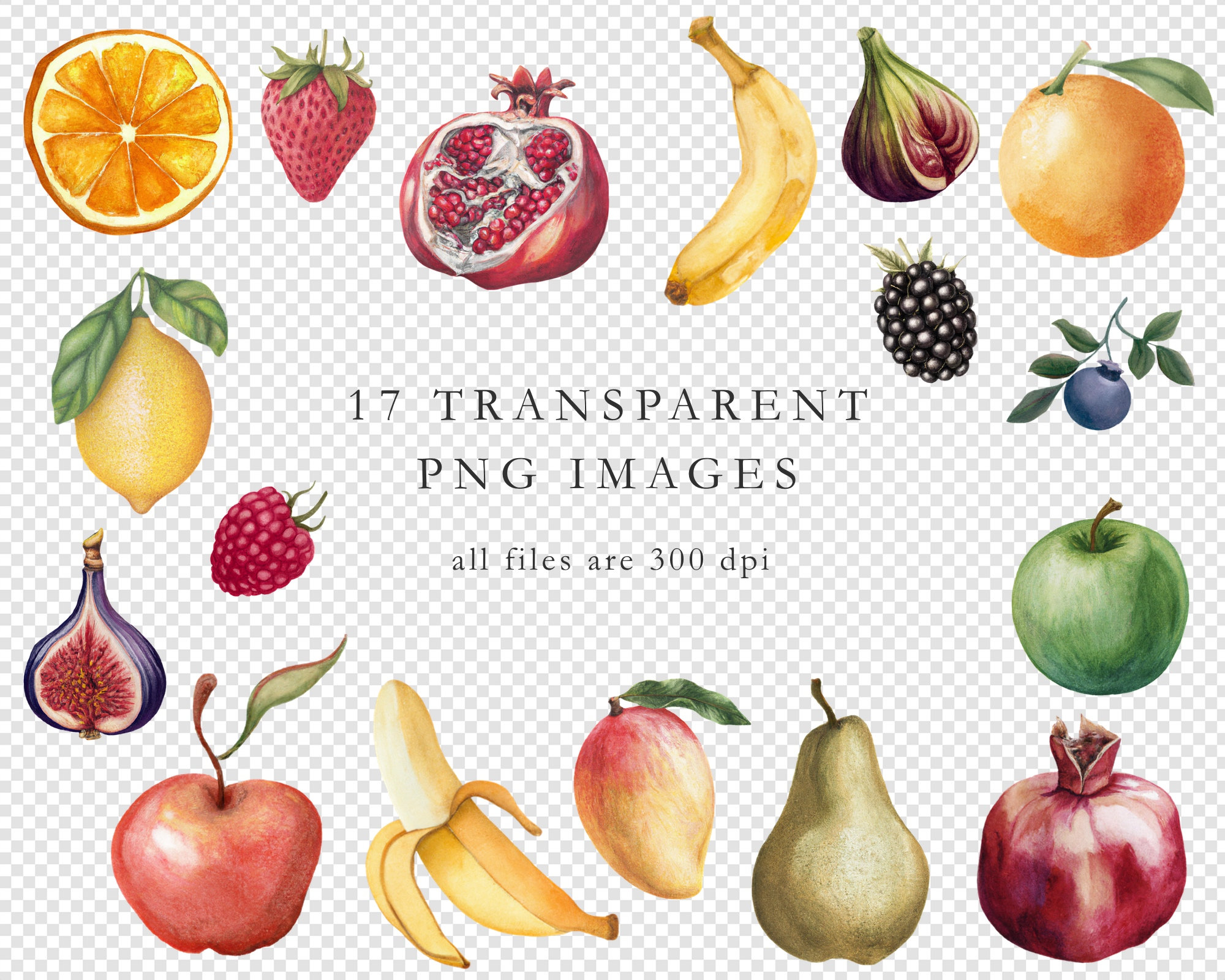 TRIPSHION AFFLUENT FRUITS GRAPHIC フーディー 9colors Fruit mix concept assortment of fresh fruit | Premium AI