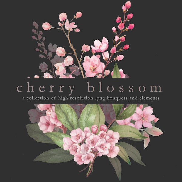 Watercolor cherry blossom, Watercolor sakura, cherry blossom clipart, bouquets, stems, buds, clipart, floral, flowers, watercolor, DOWNLOAD