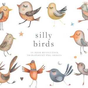 Lindo pájaro clipart, pájaros de acuarela, pájaros tontos, pájaros divertidos, clipart de pájaro, imágenes digitales, png transparente, pájaro danzante, boho, DESCARGAR