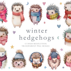 Winter dier clipart, egel clipart, winter egel, dier clipart, schattige dieren, clip art, commercieel gebruik, digitale afbeelding, DOWNLOAD