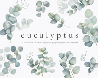 Watercolor eucalyptus, eucalyptus clipart, blue eucalyptus, eucalyptus arrangement, bouquet, leaf drop, foliage drop, eucalyptus border