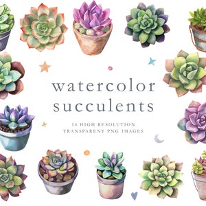 Clipart de suculentas de acuarela, clipart boho, clipart de cactus de acuarela, cactus en maceta, suculentas en maceta, clipart de acuarela, rosa, DESCARGAR