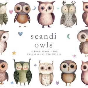 Scandi owl clipart, owl png, watercolor, nordic owl clipart, Scandinavian, clip art, watercolor, cute owls, birds, whimsical, png, DOWNLOAD