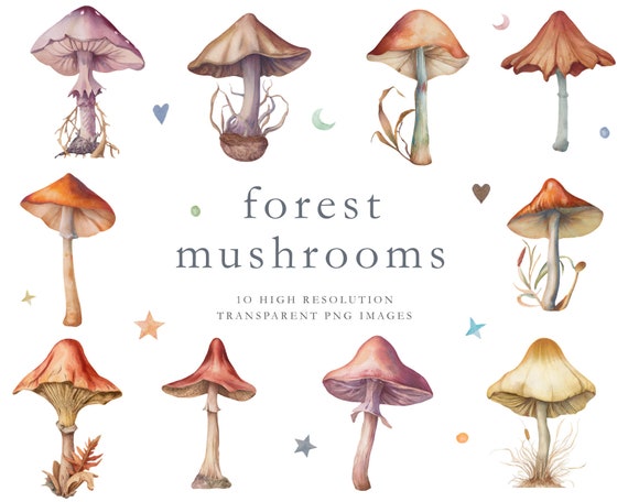 Forest mushrooms, fairytale mushrooms, watercolor clipart, whimsical mushrooms, toadstools, children, halloween, red, purple, pink, DOWNLOAD