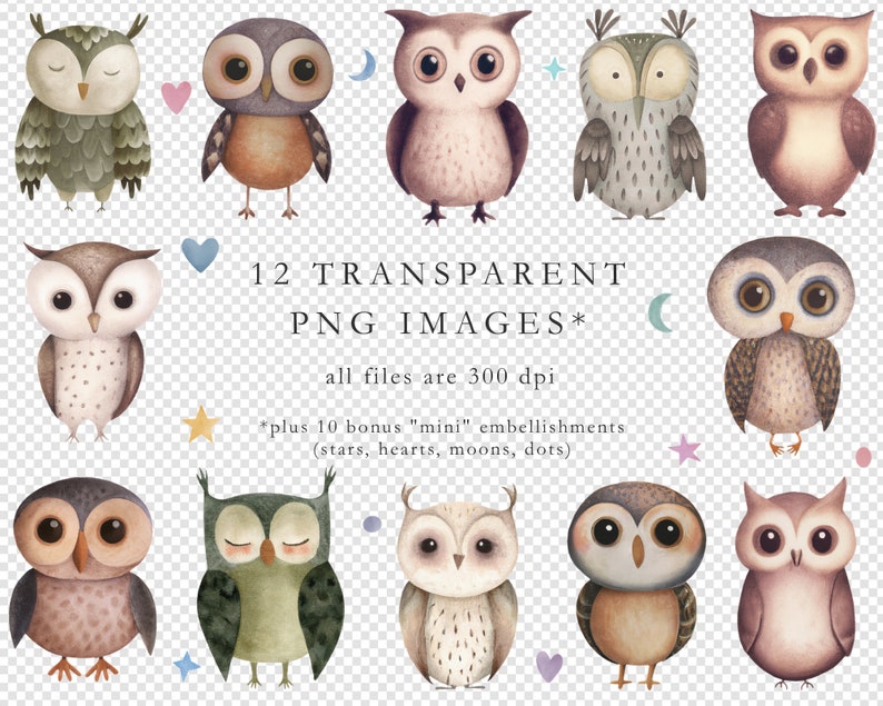Scandi Owl Clipart Owl Png Watercolor Nordic Owl Clipart - Etsy