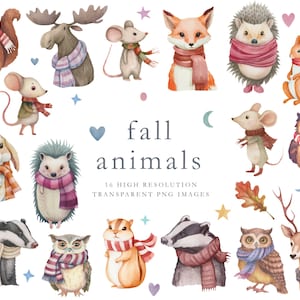 Clipart d’animaux mignons, animaux d’aquarelle, clipart d’automne, clipart d’automne, clipart, bois, cerf, orignal, souris, renard, hérisson, blaireau, hibou