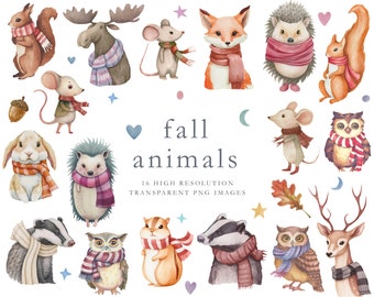 Cute animals clipart, watercolor animals, fall clipart, autumn clipart, clipart, woodland, deer, moose, mouse, fox, hedgehog, badger, owl