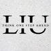 Look Into Us