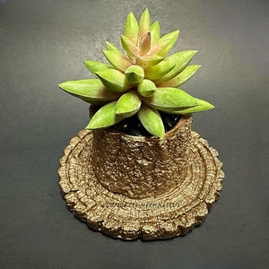 Small Hand-Painted Concrete Tree Stump Flower Pot | Realistic-Looking Natural Rustic Wood Bark Succulent Planter Vase Holder Mini Spring