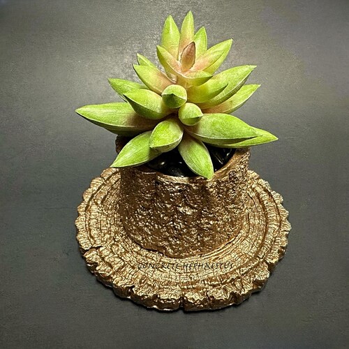 Small Hand-Painted Concrete Tree Stump Flower Pot | Realistic-Looking Natural Rustic Wood Bark Succulent Planter Vase Holder Mini Spring