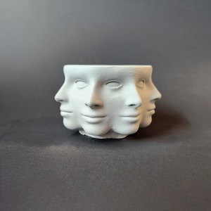 Multi-Face Concrete Pot | Unique Polyface Head Succulent Planter for Indoor Outdoor Plants