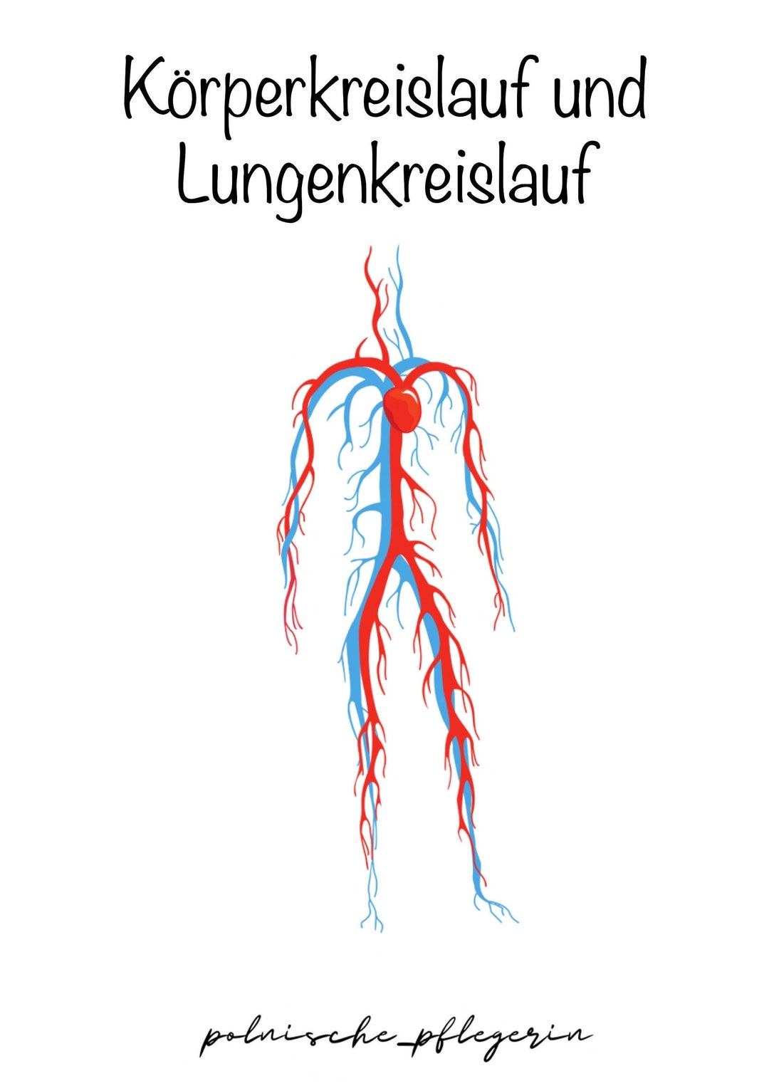 Körperkreislauf Und Lungenkreislauf Einfach Erklärt Körper und Lungenkreislauf Zusammenfassung - Etsy.de