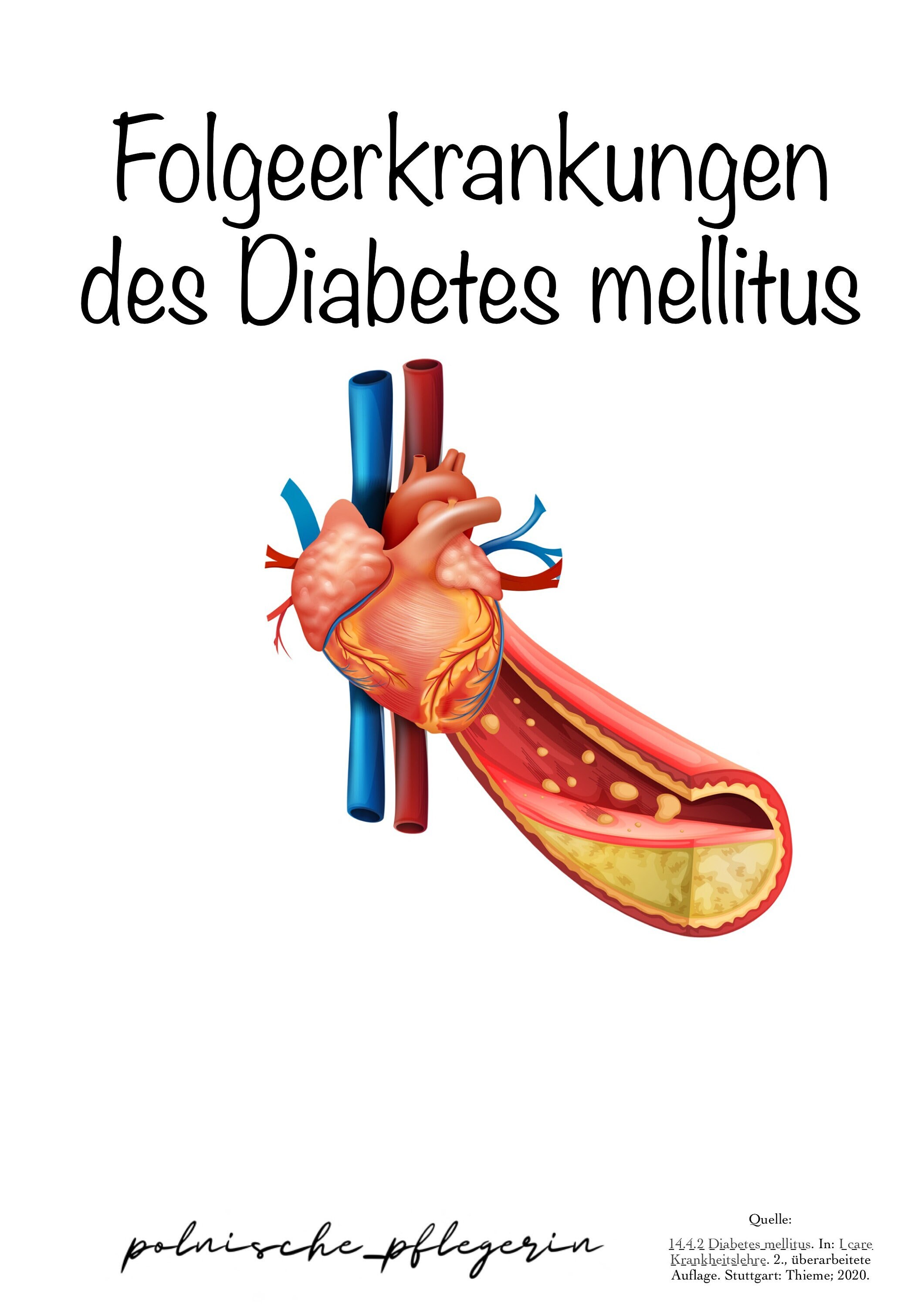 Diabetes Mellitus und Niereninsuffizienz: Eine tückische Verbindung