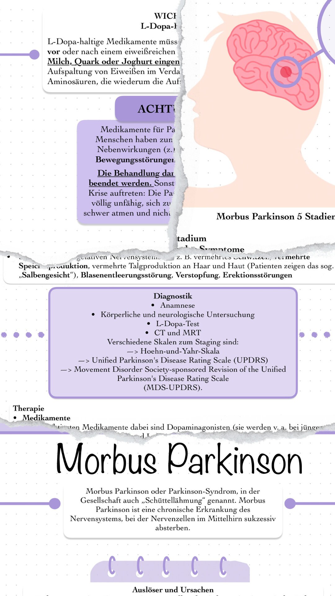 Learning Sheet Parkinson's Disease Etsy