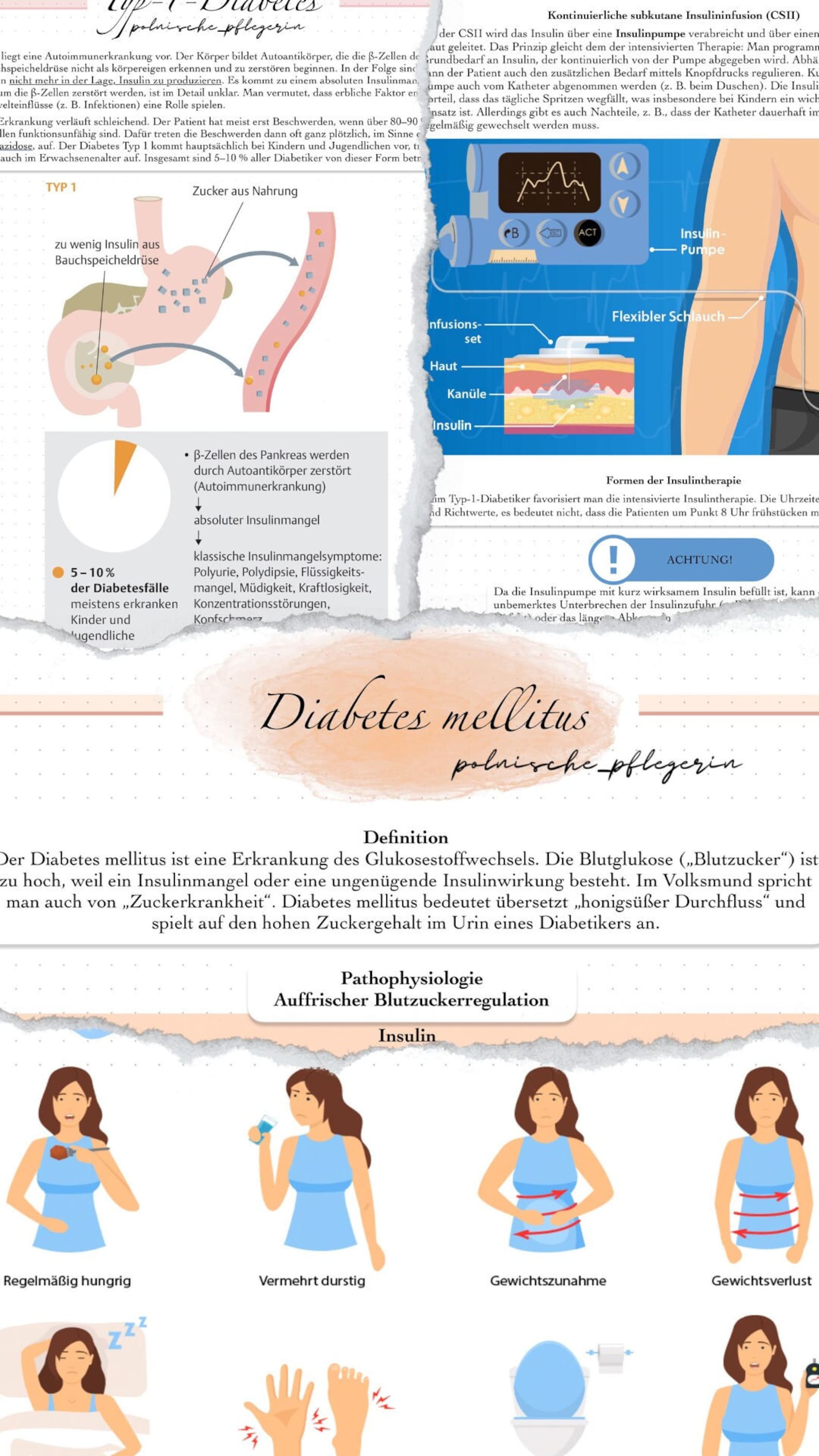 Diabetes mellitus: Eine umfassende Pflege des chronischen Leidens
