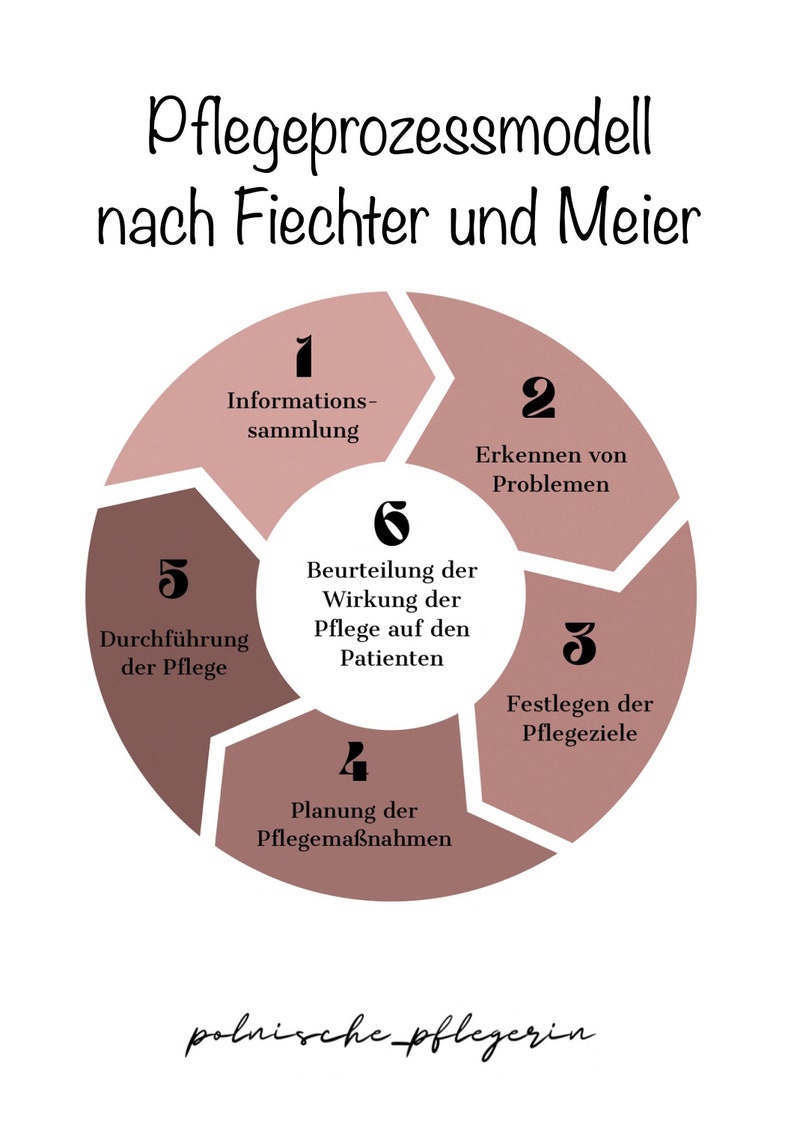 Lernzettel Pflegeprozessmodell Nach Fiechter Und Meier - Etsy