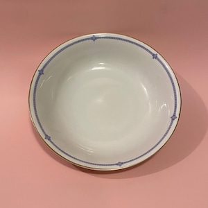Vintage Hutschenreuther China Selb 2101 Pattern Bavarian China Blue White Pattern 9” Serving Bowl