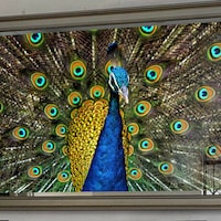 טלוויזיה ממוסגרת מראה מורכבת לסדרת סמסונג דקה 70 אינץ