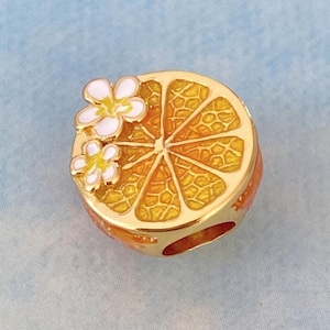 Lemon Slice Fruit Charm Orange Charm,New Genuine 925 Sterling Silver Charm for Bracelet,Necklace Pendant