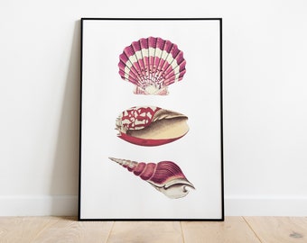 Pink Shells, Coastal Art Print - Beach House Decor, Art Print, Digital Download, Trendy Wall Art, Printable Art