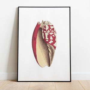 Conchiglia rosa, stampa artistica costiera - Arredamento casa sulla spiaggia, stampa d&#39;arte, download digitale, arte da parete alla moda, arte stampabile