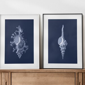 Conchiglia blu, stampa artistica costiera - Arredamento casa sulla spiaggia, stampa d&#39;arte, download digitale, arte da parete alla moda, arte stampabile