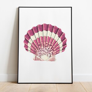 Conchiglia rosa, stampa artistica costiera - Arredamento casa sulla spiaggia, stampa d&#39;arte, download digitale, arte da parete alla moda, arte stampabile
