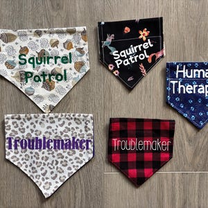 Cricut vinyl hondenbandana (overkraag)