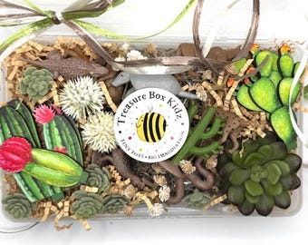 Desert Animals Treasure Box: Sensory Play / Desert Habitat /