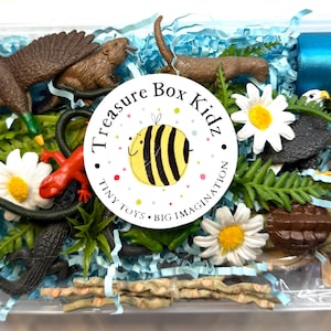 Pond and River Animals Treasure Box: Nature Sensory STEM Play