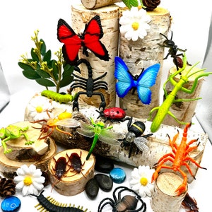 Insect & Creepy Crawlers Themed Treasure Box: Bug Busy Box, Imagination Toys, Sensory Play, Insect Study, Speech/Language Resources, Diorama