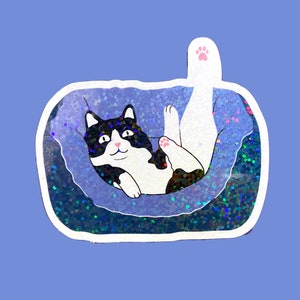 Tuxedo cat sticker, funny cat in a box sticker for cat mom, waterproof sticker for laptop or water bottle