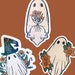 see more listings in the Tout section
