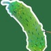 see more listings in the Tout section