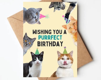 Funny cat birthday card, wishing you a perfect birthday, cute cat birthday card, funny cat card