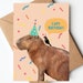 see more listings in the Birthday Cards section