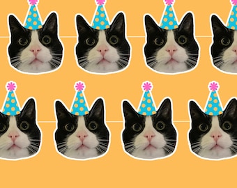 May include: A repeating pattern of black and white cat faces, each wearing a blue party hat with yellow polka dots and a pink flower on top. The background is a solid orange color.